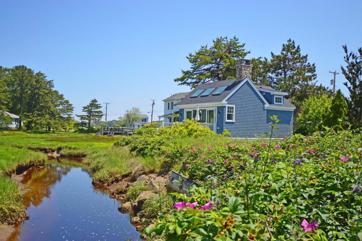 Sand Dollar Real Estate LLC-Tidewater-image-1