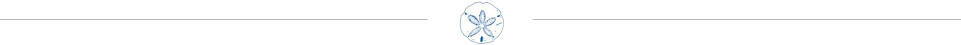 Sand Dollar