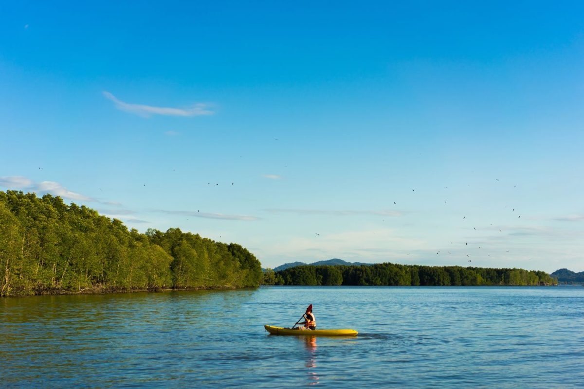kayaking with birds flying above